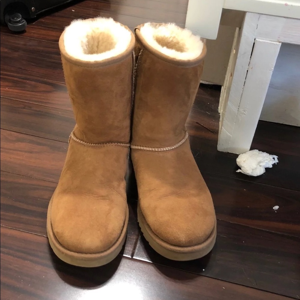 Size 7 Uggs